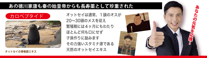 凛カロペプタロイドバナー